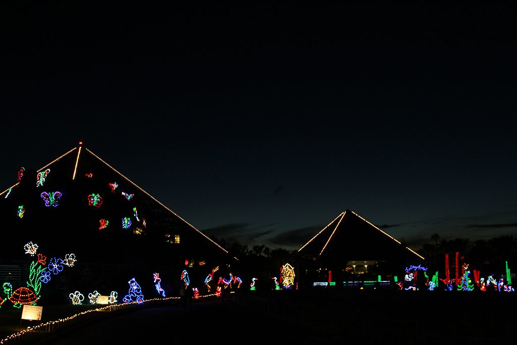 Festival of Lights Moody Gardens