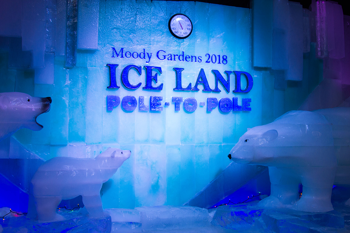 Moody Gardens Ice Carvers to Create PoletoPole Journey