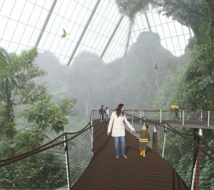 Rendering of New Canopy Entrance in Rainforest Pyramid 