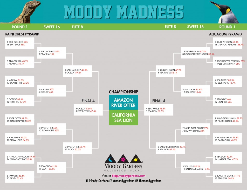 MoodyMadnessBracke_Championshipt