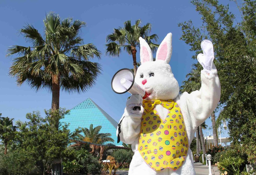 Easter Bunny standing in front of the Aquarium Pyramid announcing Easter brunch and buffet at Moody Gardens on March 29th through March 31st. 