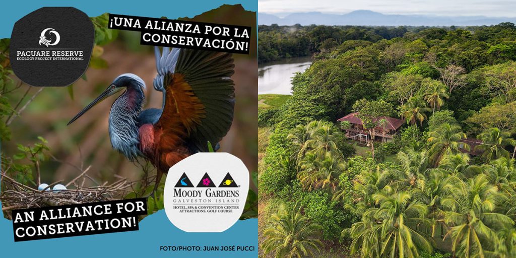 Ecology Project International and Pacuare Rserve enters into conservation partnership with Moody Gardens.