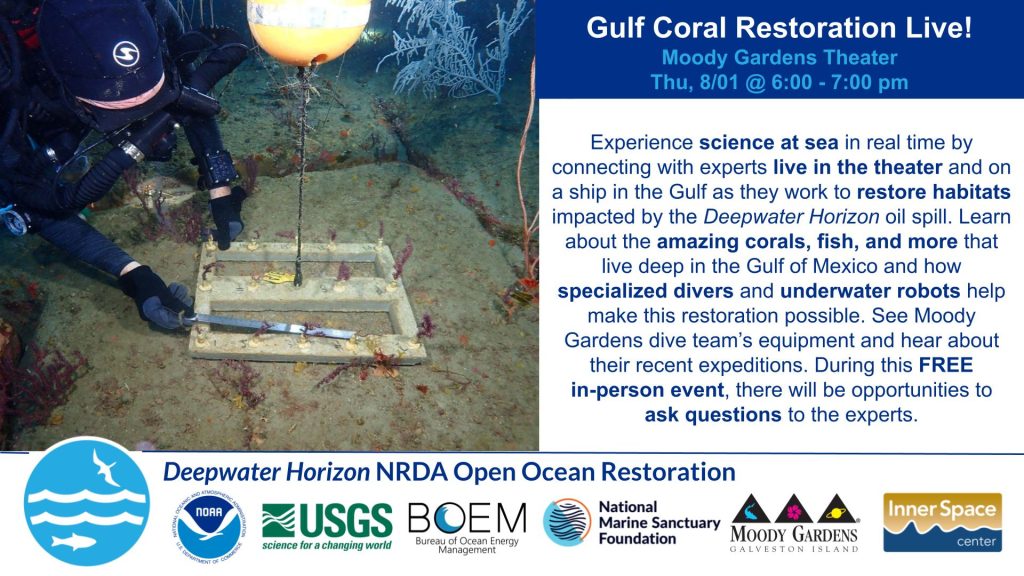 Gulf Restoration Live at the Moody Gardens Theater on Thursday, August 1 from 6pm to 7pm. Learn about the restoration of habitats in the Gulf of Mexico after the Deepwater Horizon oil spill.