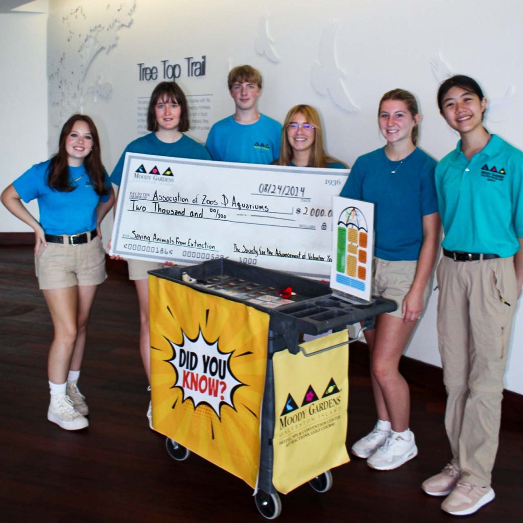 Members of the Moody Gardens Education Department and the SAVY (Society for the Advancement of Volunteer Youth) present a donation check for $2,000 towards the AZA (Association of Zoos & Aquariums) SAFE (Saving Animals from Extinction) program.