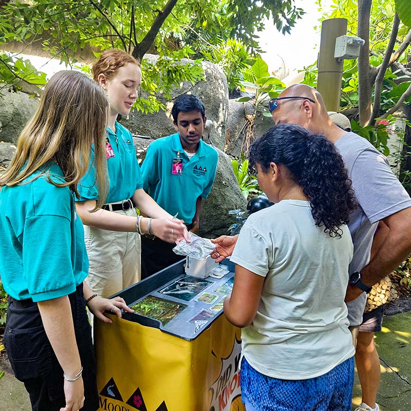 Members of SAVY use an educational, interactive cart while speaking to visitors inside the Rainforest Pyramid.