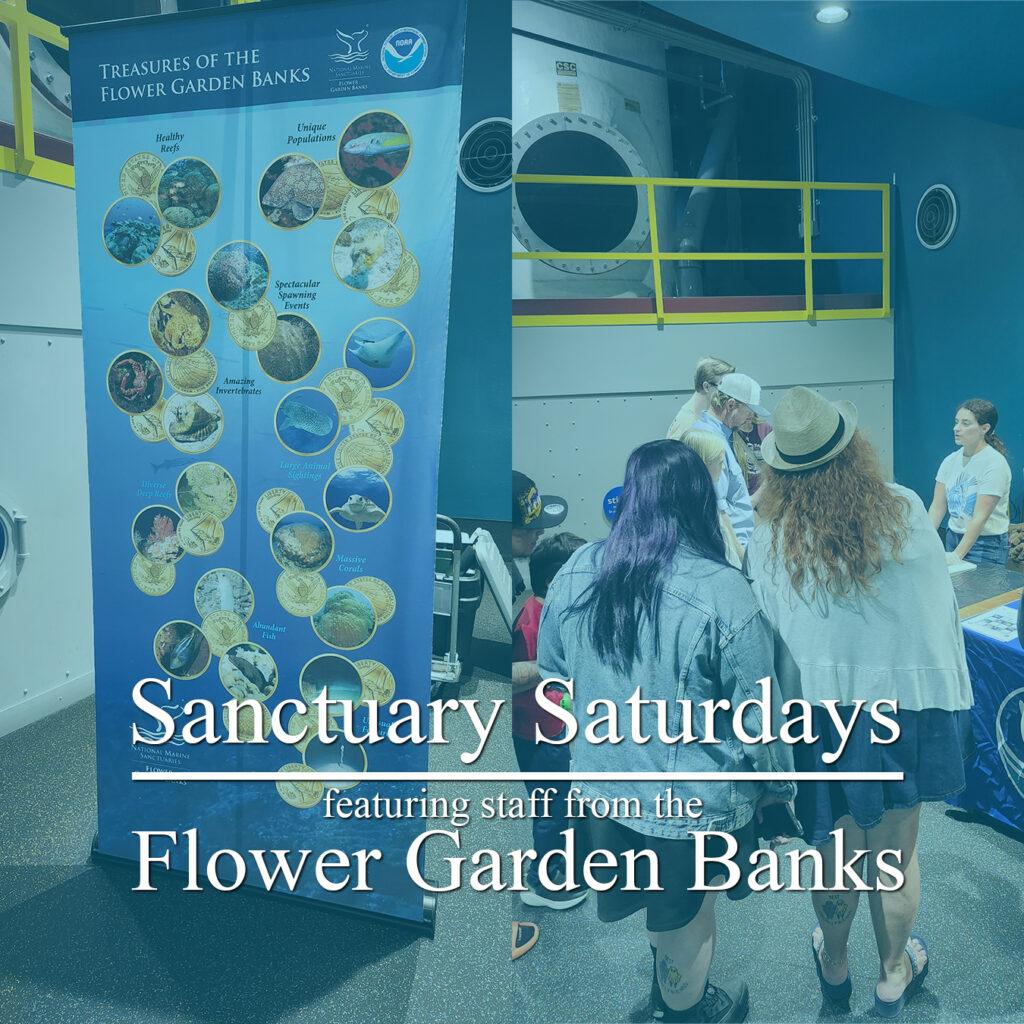 Sanctuary Saturdays featuring staff from the Flower Garden Banks National Marine Sanctuary. 